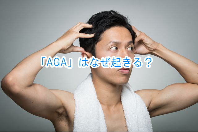 「AGA」はなぜ起きる？